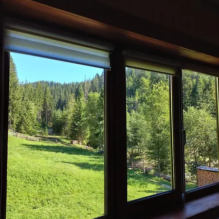 Homestay стожари