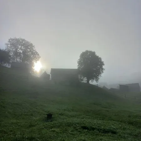 стожари Vorokhta