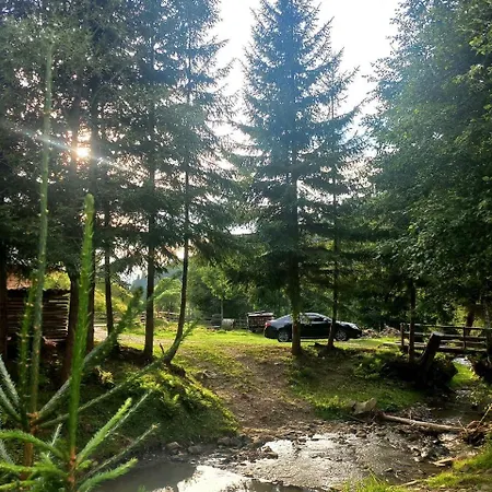 стожари