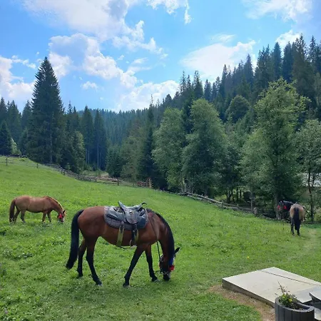 стожари Homestay