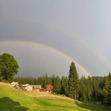 стожари *