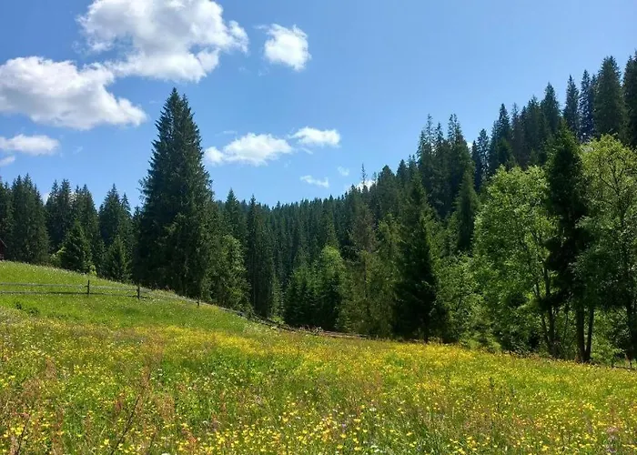 Homestay стожари Vorokhta