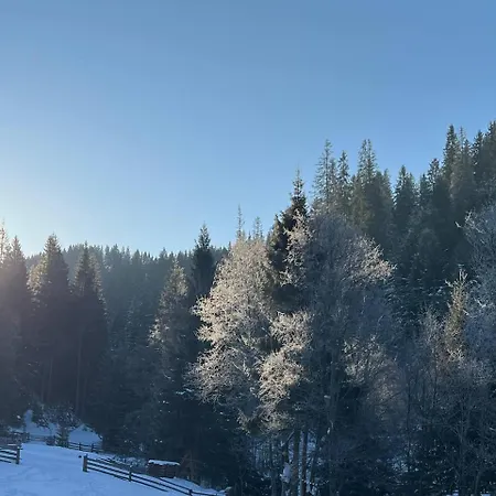 стожари