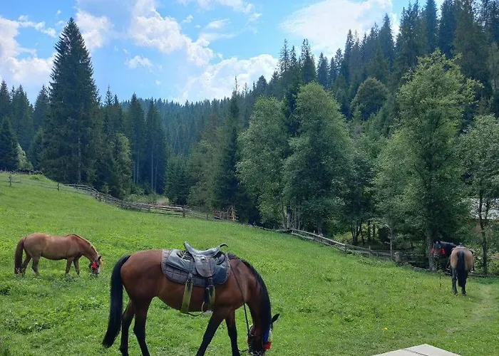 стожари Privat bolig