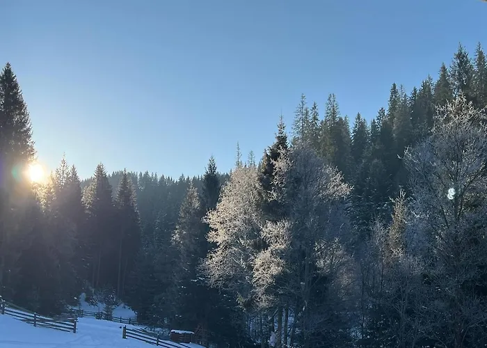 стожари